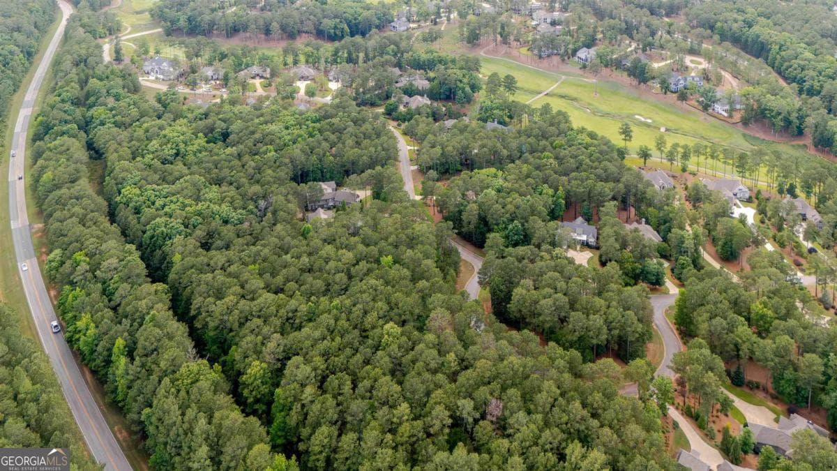 residential lot for sale at 1080 Mill Creek, Greensboro, GA 30642 — photo 10