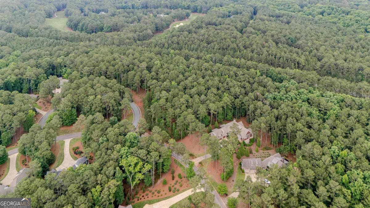 residential lot for sale at 1080 Mill Creek, Greensboro, GA 30642 — photo 4
