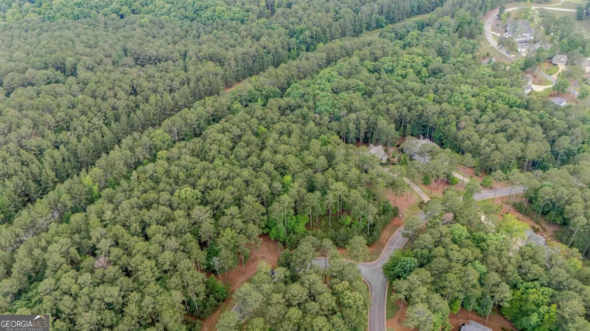 residential lot for sale at 1080 Mill Creek, Greensboro, GA 30642 — photo 8