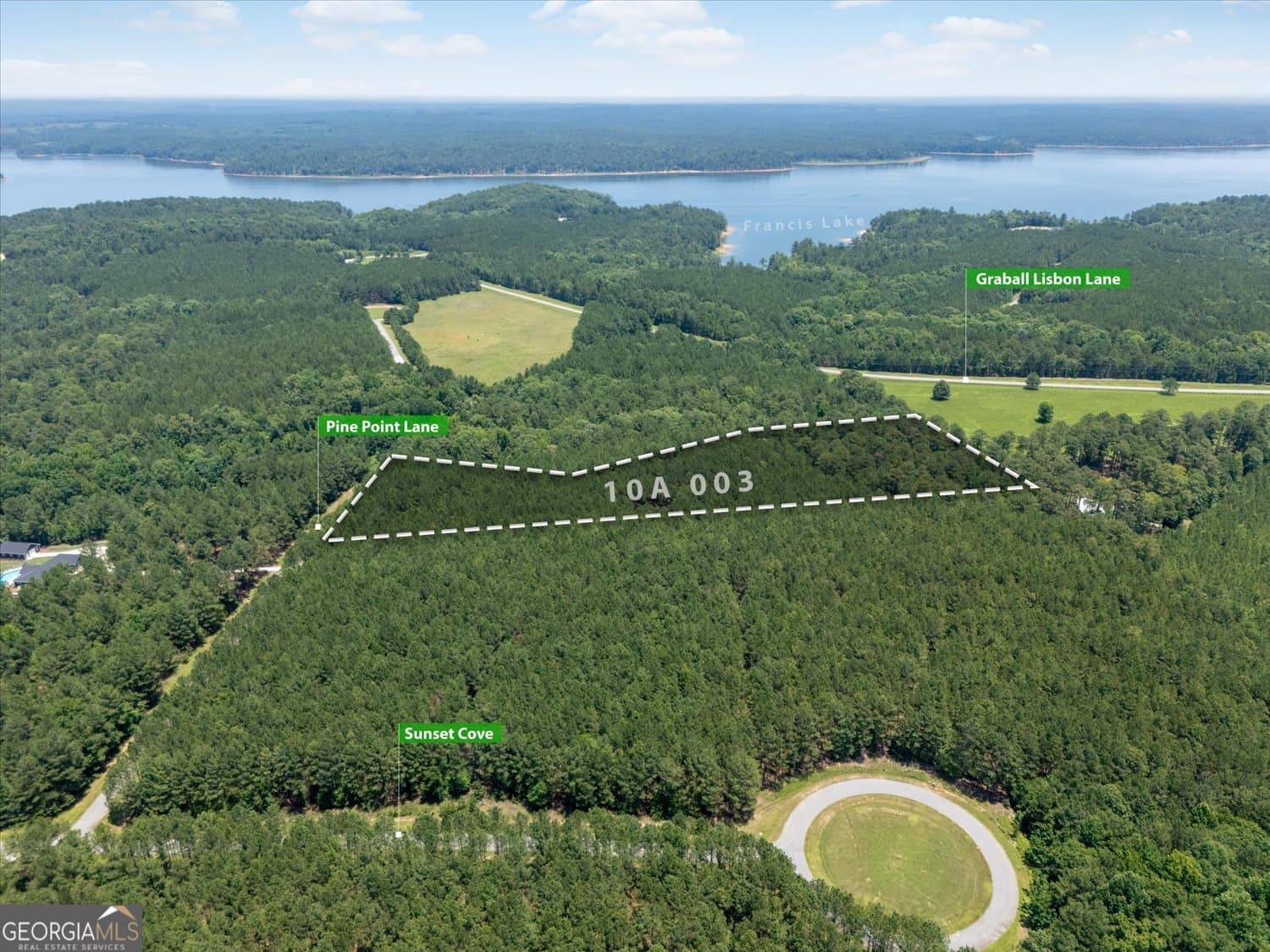 residential lot for sale at 1053 Pine Point Lane, Tignall, GA 30668 — photo 3