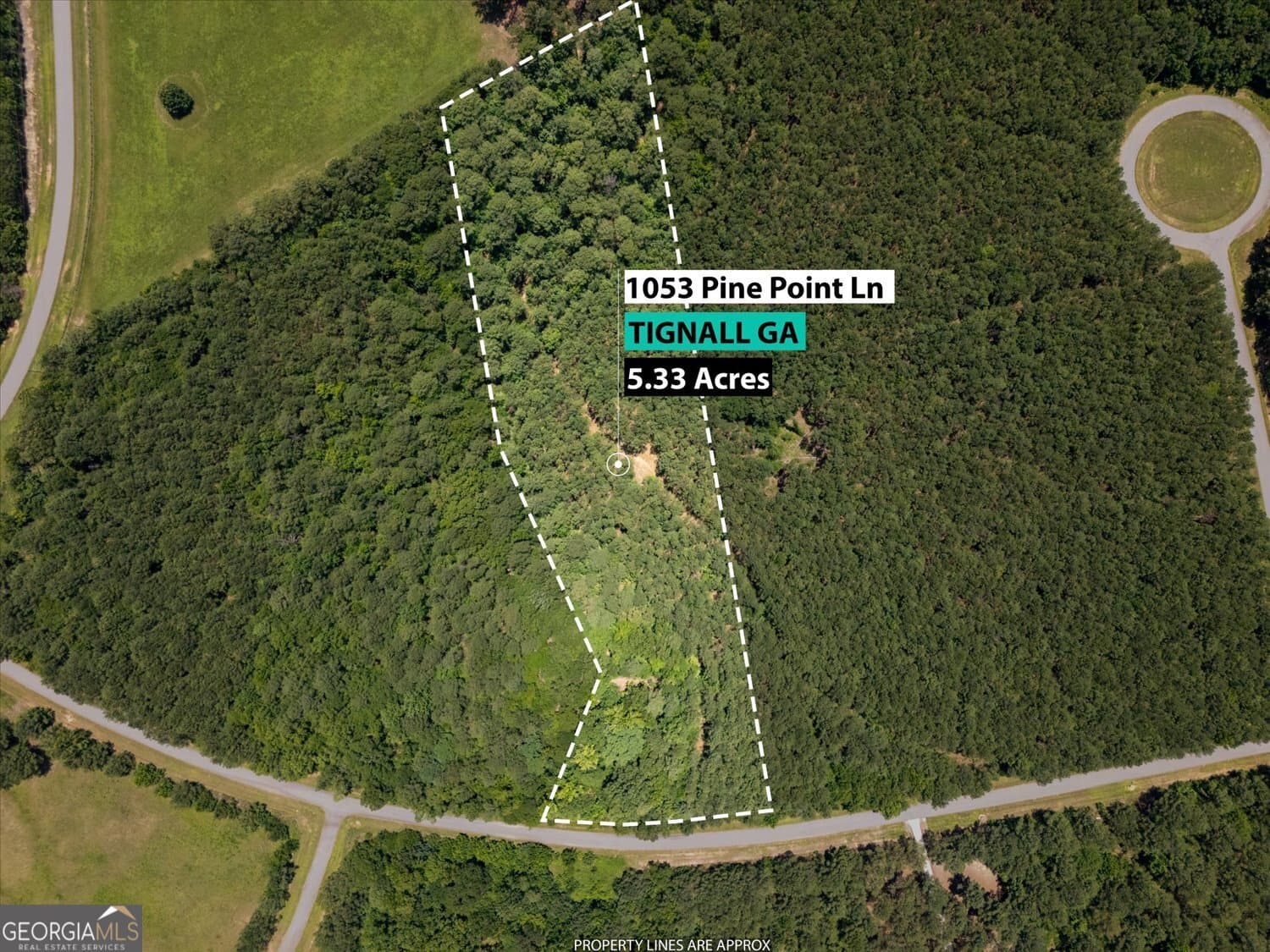 residential lot for sale at 1053 Pine Point Lane, Tignall, GA 30668 — photo 1 of 6