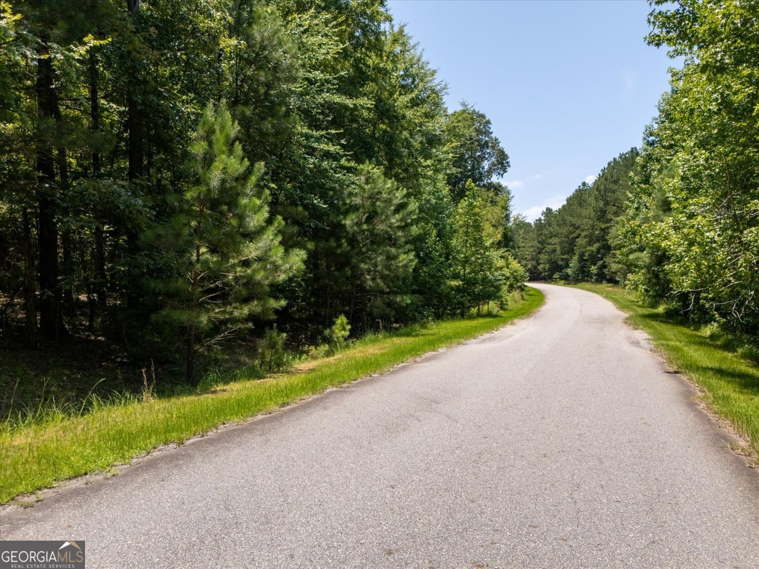 residential lot for sale at 1053 Pine Point Lane, Tignall, GA 30668 — photo 5