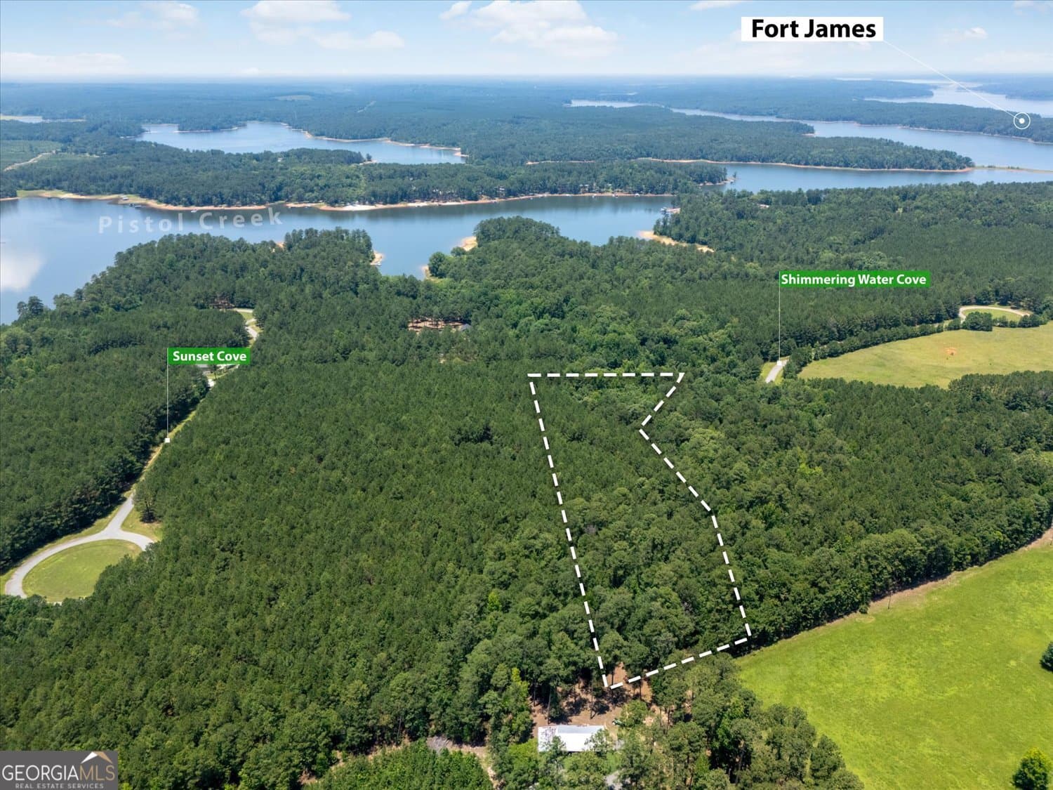 residential lot for sale at 1053 Pine Point Lane, Tignall, GA 30668 — photo 4