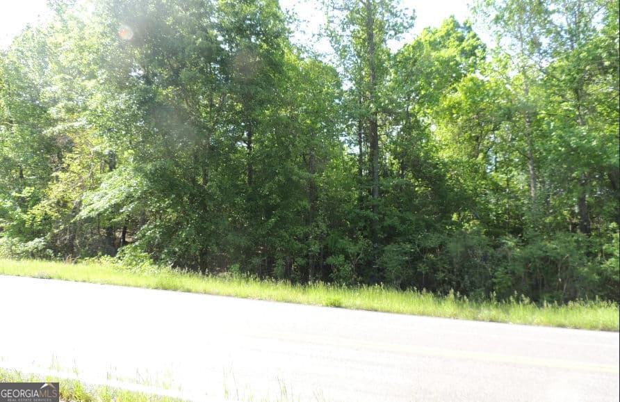 unimproved land for sale at 0 Causey Road, Knoxville, GA 31050 — photo 2