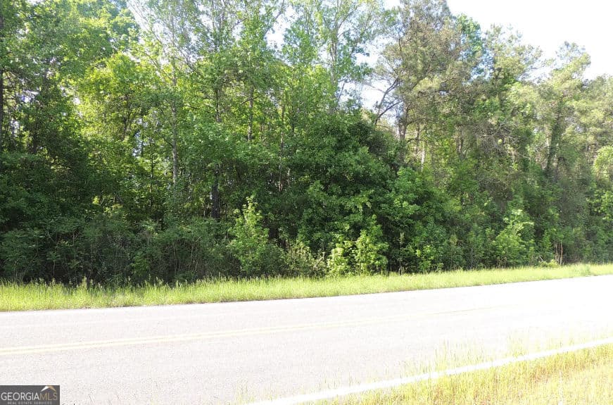 unimproved land for sale at 0 Causey Road, Knoxville, GA 31050 — photo 3