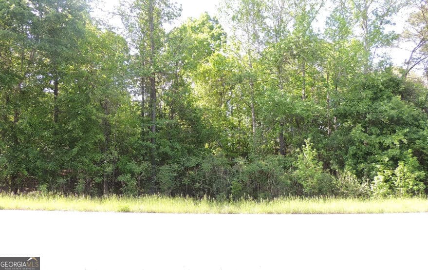 unimproved land for sale at 0 Causey Road, Knoxville, GA 31050 — photo 1 of 3