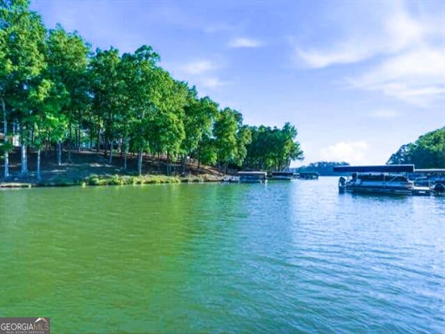 5 bedroom, 6 bathroom, 6,255 sq ft single family residence for sale at 1000 Brickyard Lane, Greensboro, GA 30642 — photo 7