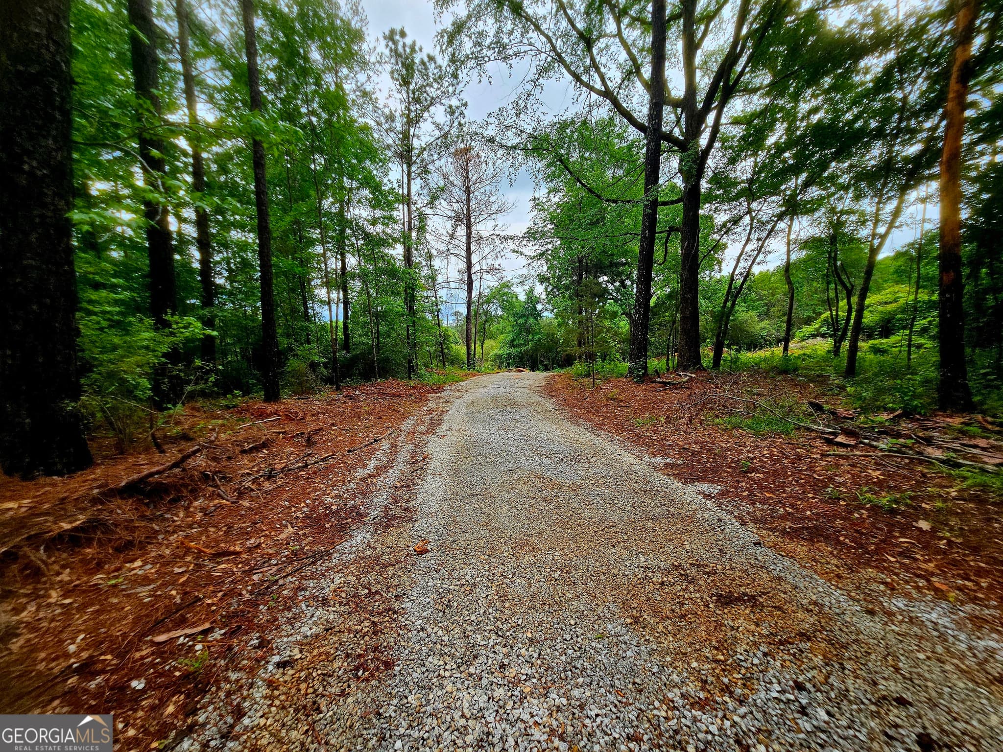 agriculture under contract at 0 School House Hill Road, Franklin, GA 30217 — photo 2