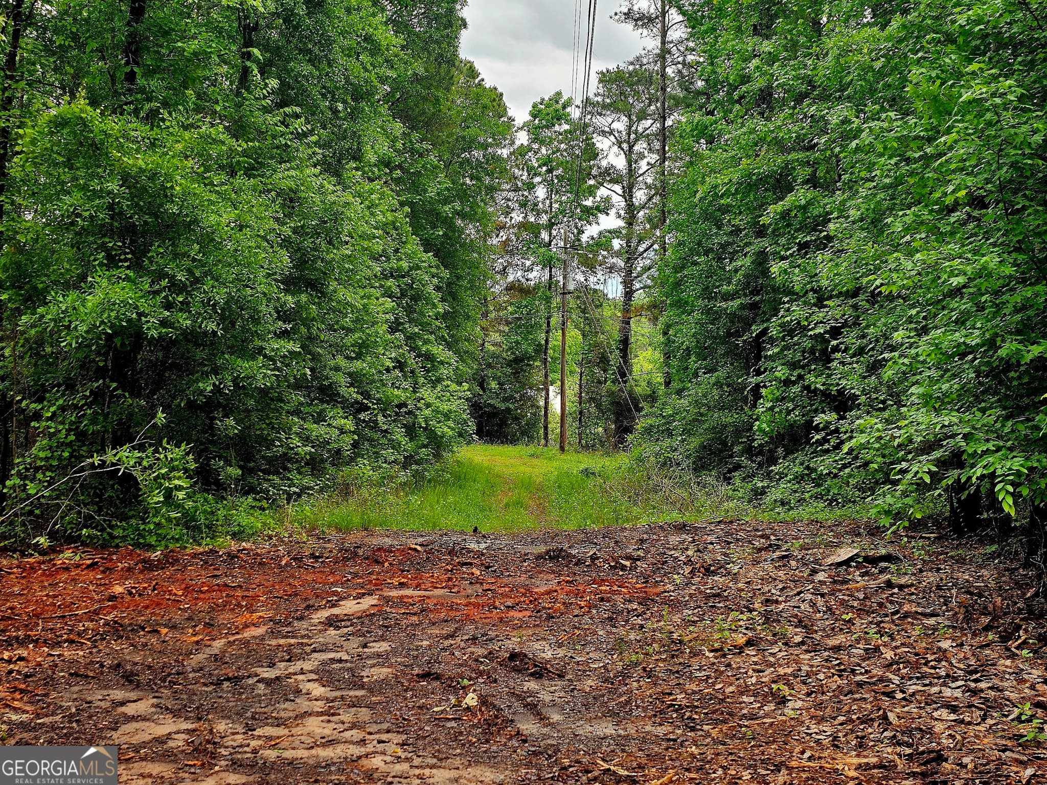 agriculture under contract at 0 School House Hill Road, Franklin, GA 30217 — photo 6