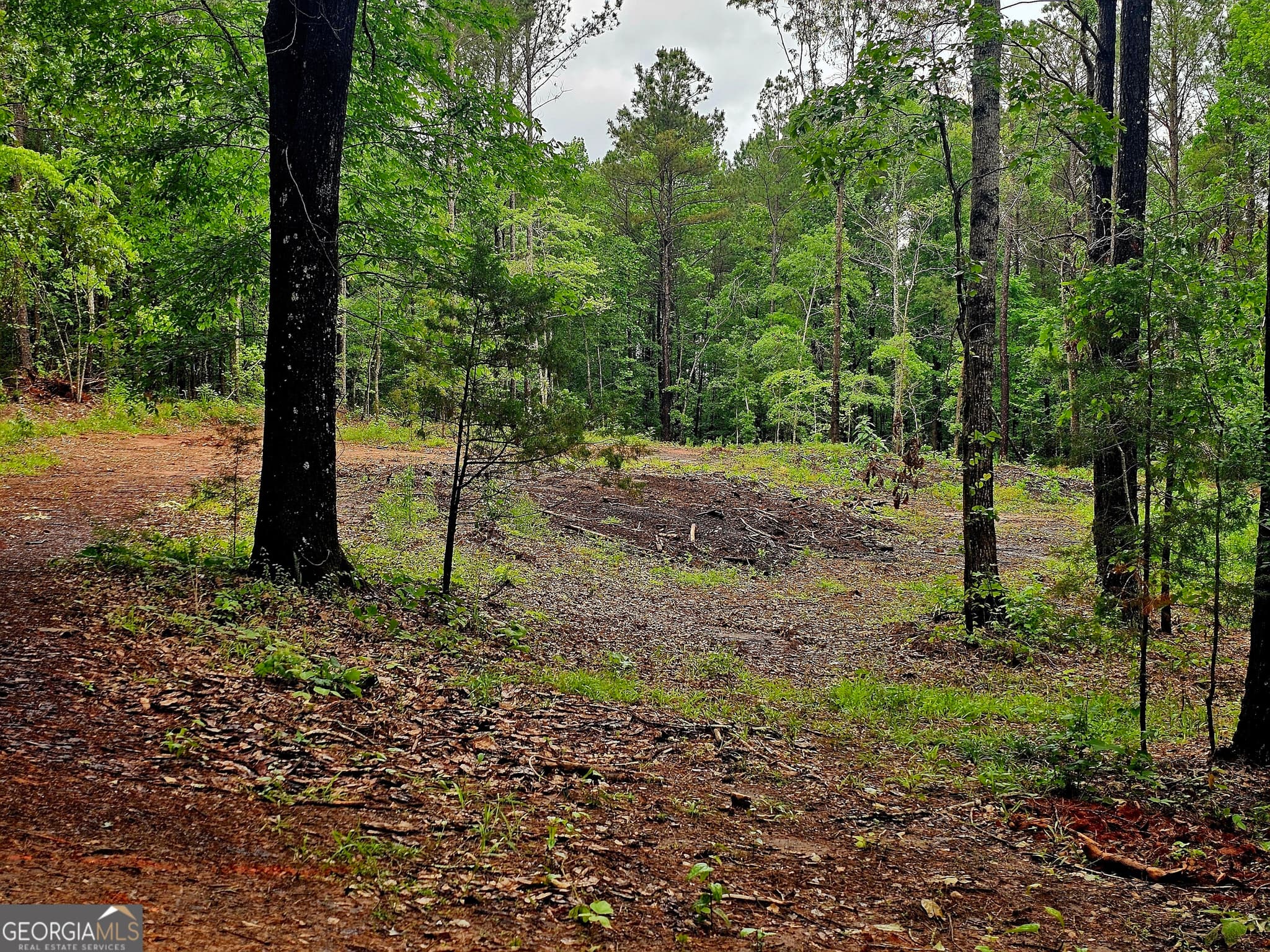 agriculture under contract at 0 School House Hill Road, Franklin, GA 30217 — photo 7