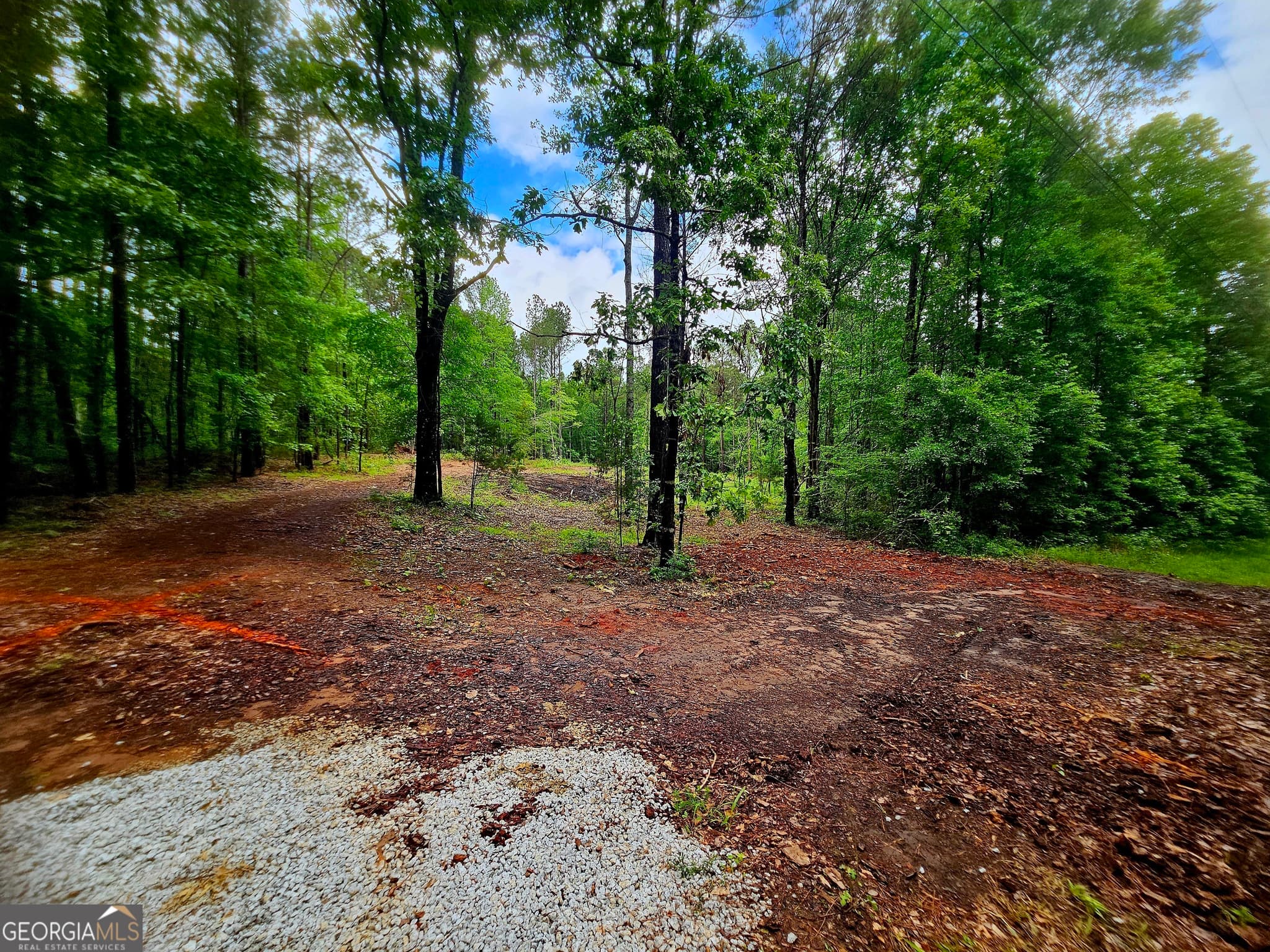 agriculture under contract at 0 School House Hill Road, Franklin, GA 30217 — photo 5