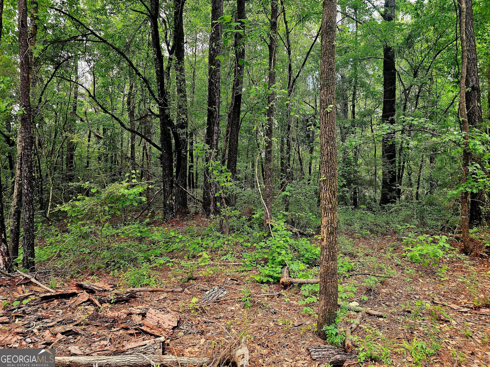 agriculture under contract at 0 School House Hill Road, Franklin, GA 30217 — photo 4