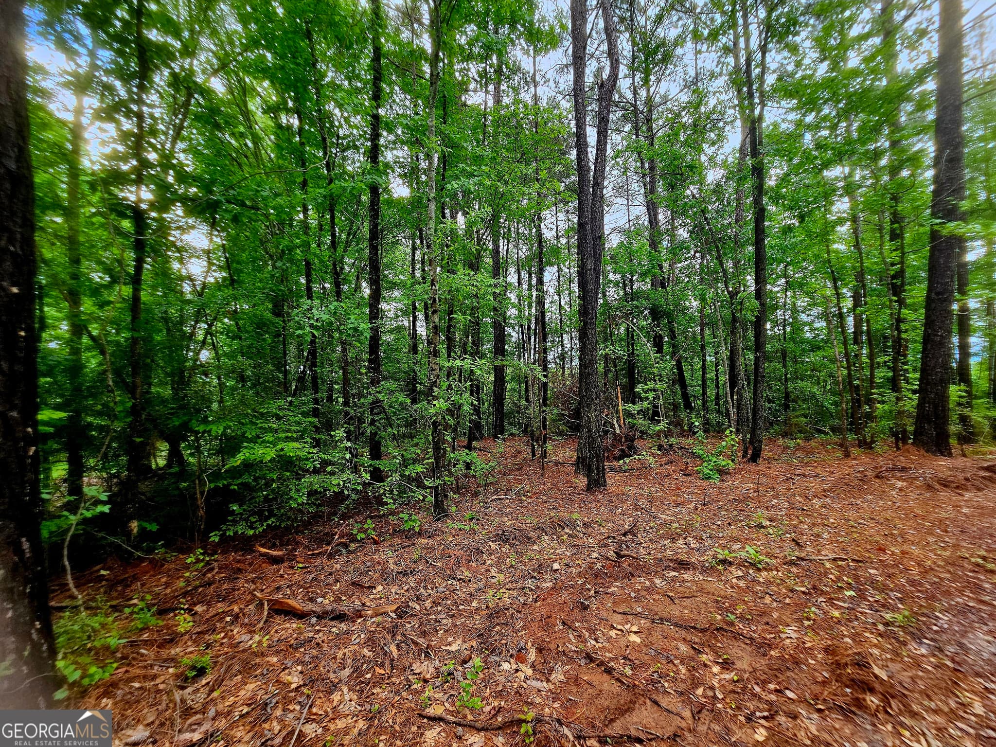agriculture under contract at 0 School House Hill Road, Franklin, GA 30217 — photo 8