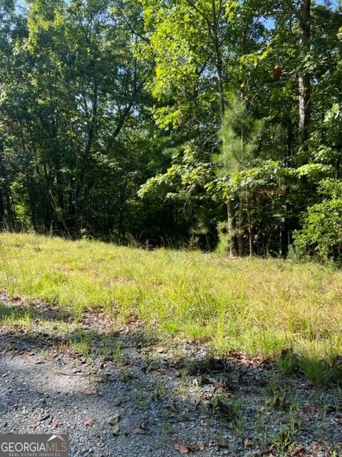 residential lot for sale at LT 57 Honeysuckle Way, Ellijay, GA 30540 — photo 1 of 8