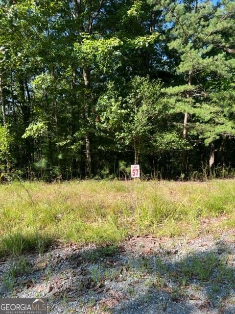 residential lot for sale at LT 57 Honeysuckle Way, Ellijay, GA 30540 — photo 5