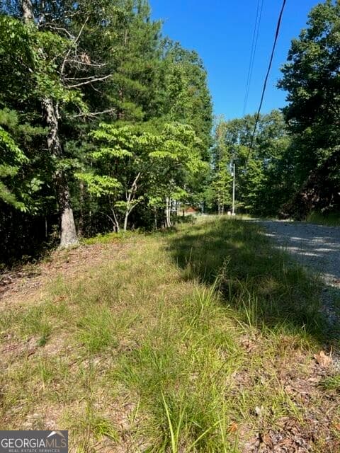 residential lot for sale at LT 57 Honeysuckle Way, Ellijay, GA 30540 — photo 4