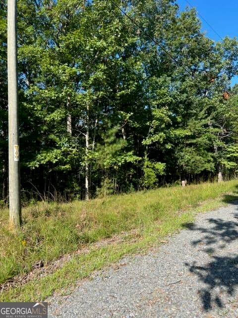residential lot for sale at LT 57 Honeysuckle Way, Ellijay, GA 30540 — photo 8