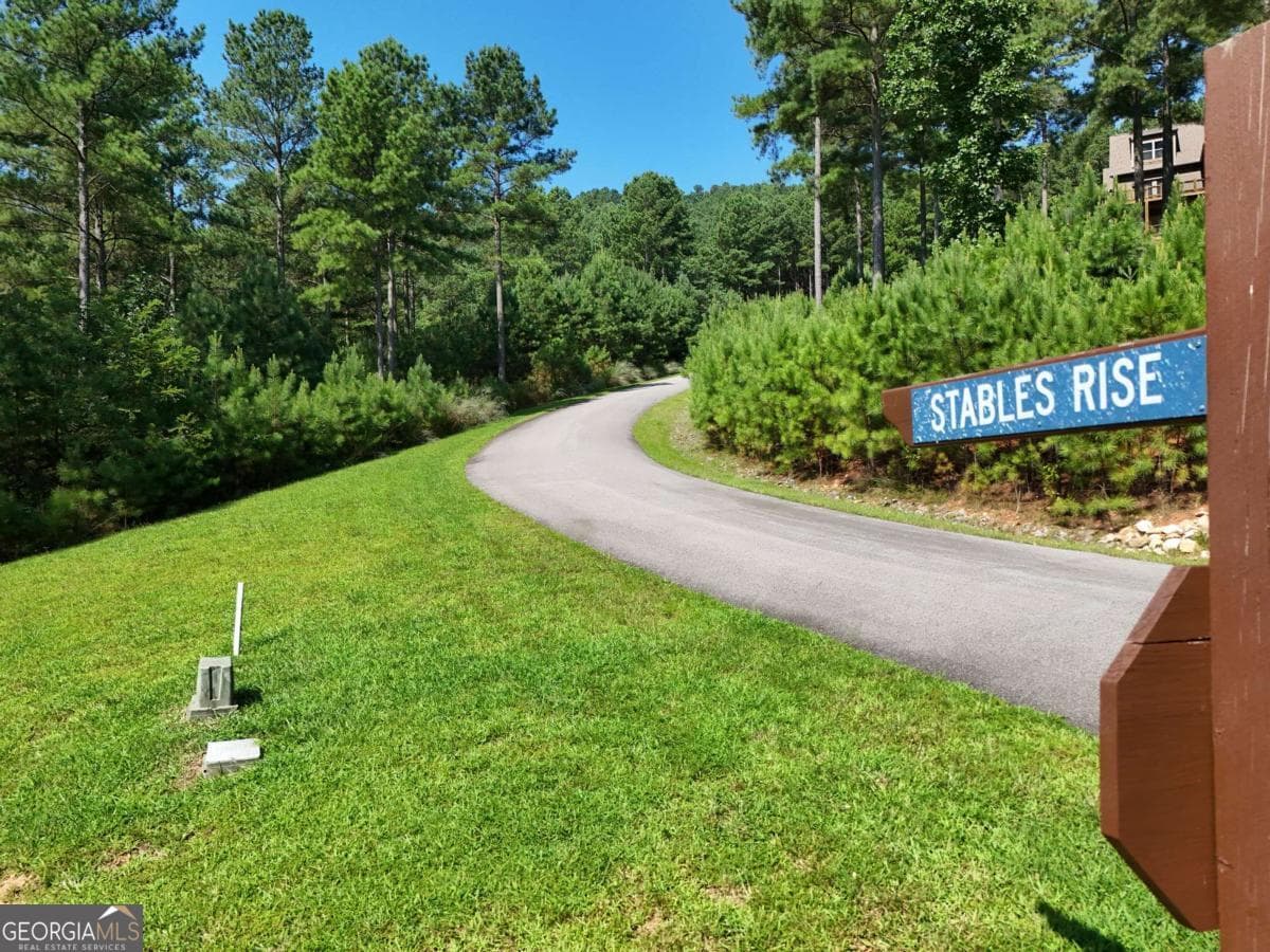 residential lot for sale at LOT 121 Stables Rise, Blairsville, GA 30512 — photo 5
