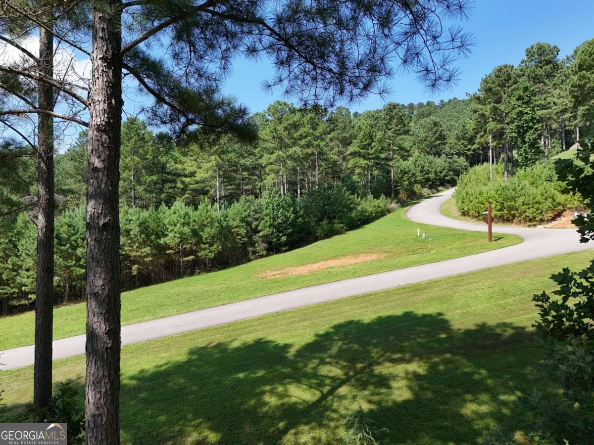 residential lot for sale at LOT 121 Stables Rise, Blairsville, GA 30512 — photo 10