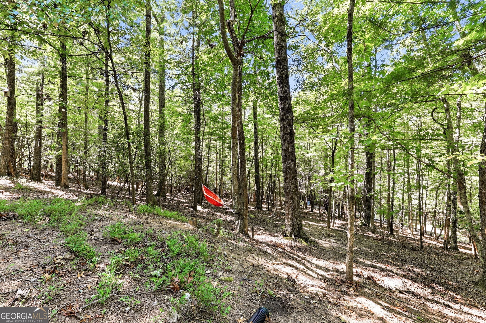 3 bedroom, 2 bathroom, 1,392 sq ft cabin,single family residence for sale at 416 Woodland, Sautee Nacoochee, GA 30571 — photo 8