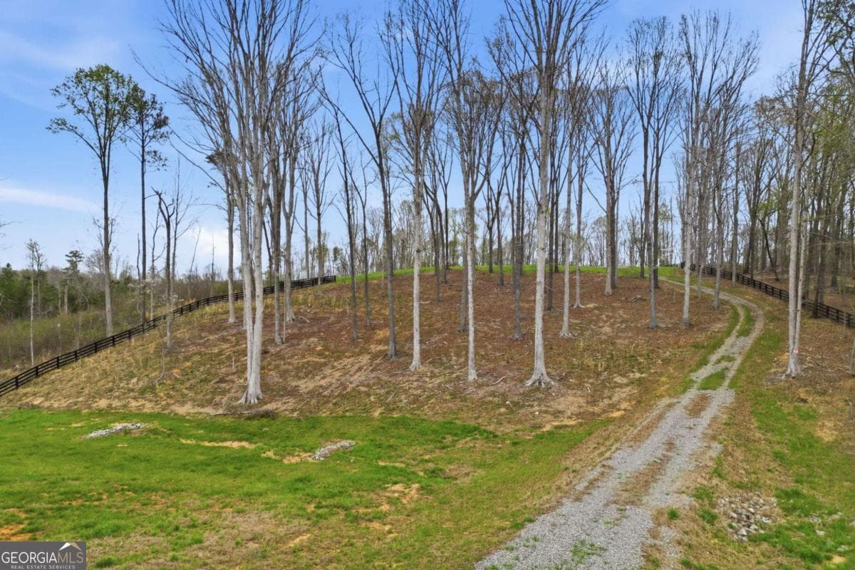 unimproved land for sale at 0 Carlan Road, Jasper, GA 30143 — photo 7
