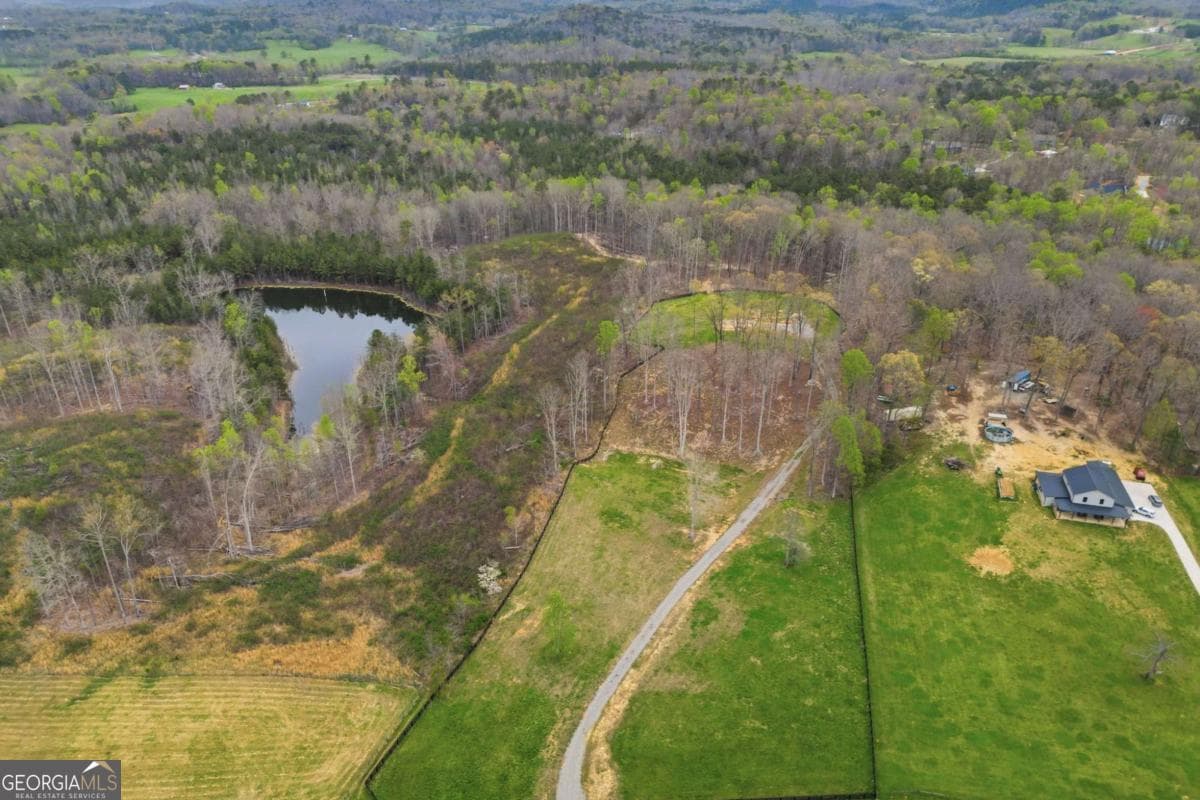 unimproved land for sale at 0 Carlan Road, Jasper, GA 30143 — photo 5