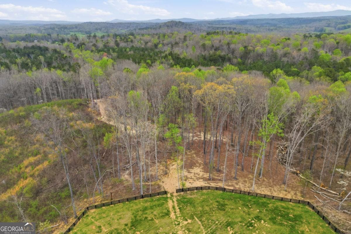 unimproved land for sale at 0 Carlan Road, Jasper, GA 30143 — photo 10