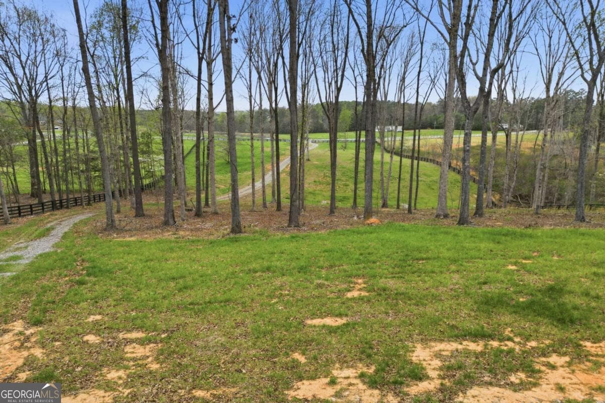 unimproved land for sale at 0 Carlan Road, Jasper, GA 30143 — photo 8