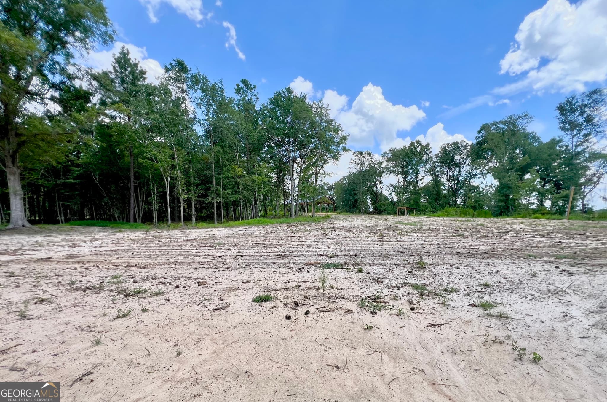 residential lot for sale at 2218 Pittman Road, Cobbtown, GA 30420 — photo 7