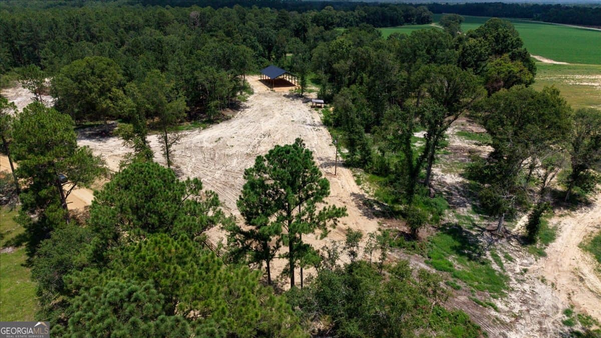residential lot for sale at 2218 Pittman Road, Cobbtown, GA 30420 — photo 4
