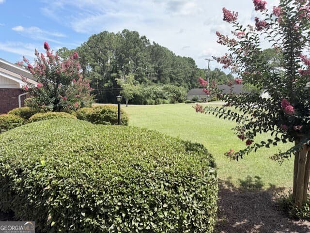 4 bedroom, 2 bathroom, 1,971 sq ft single family residence for sale at 142 Lakewood Drive, Blakely, GA 39823 — photo 4
