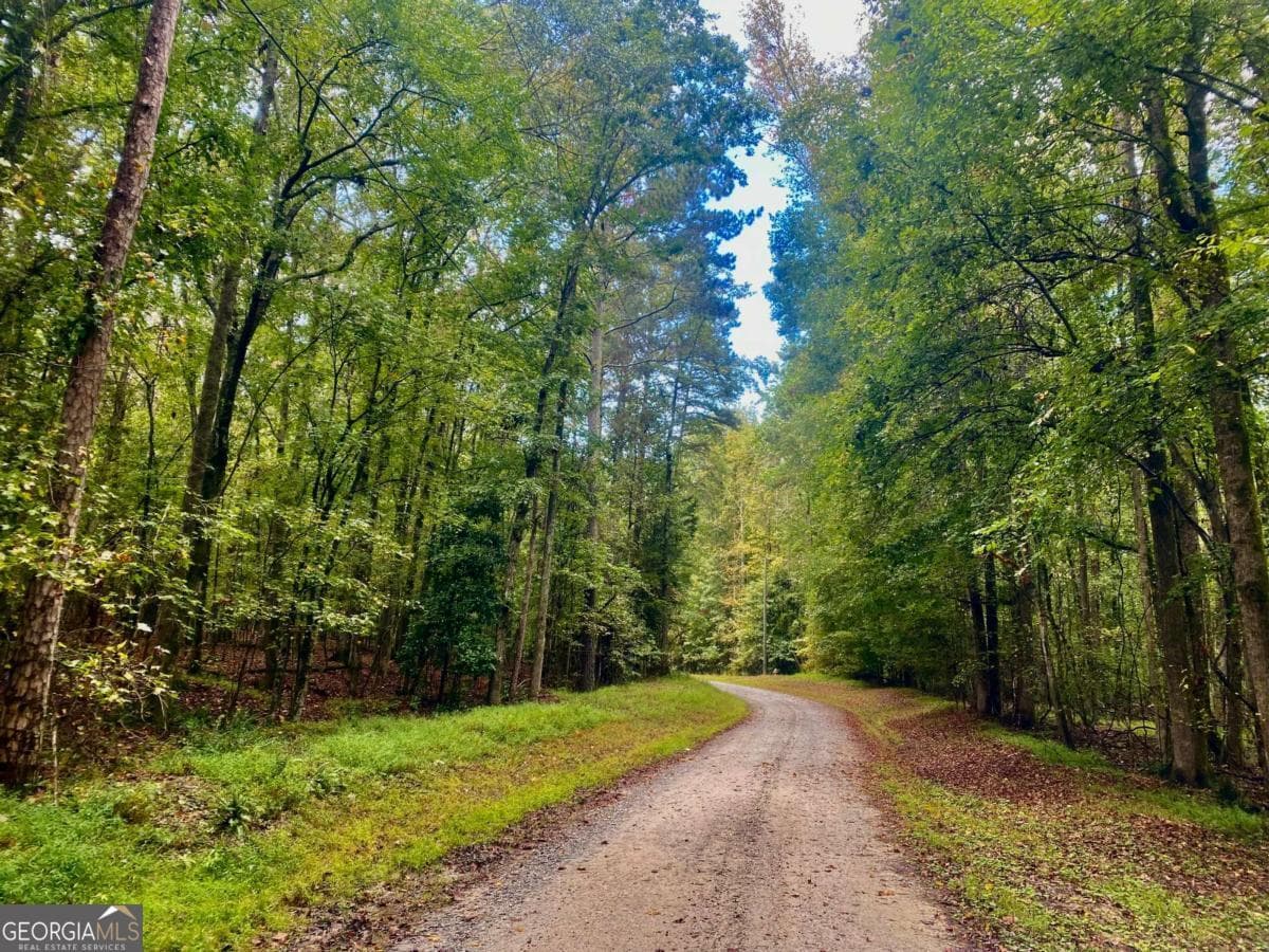 5 bedroom, 3.5 bathroom, 2,828 sq ft single family residence for sale at 290 Poplar Creek Road, Stephens, GA 30667 — photo 7