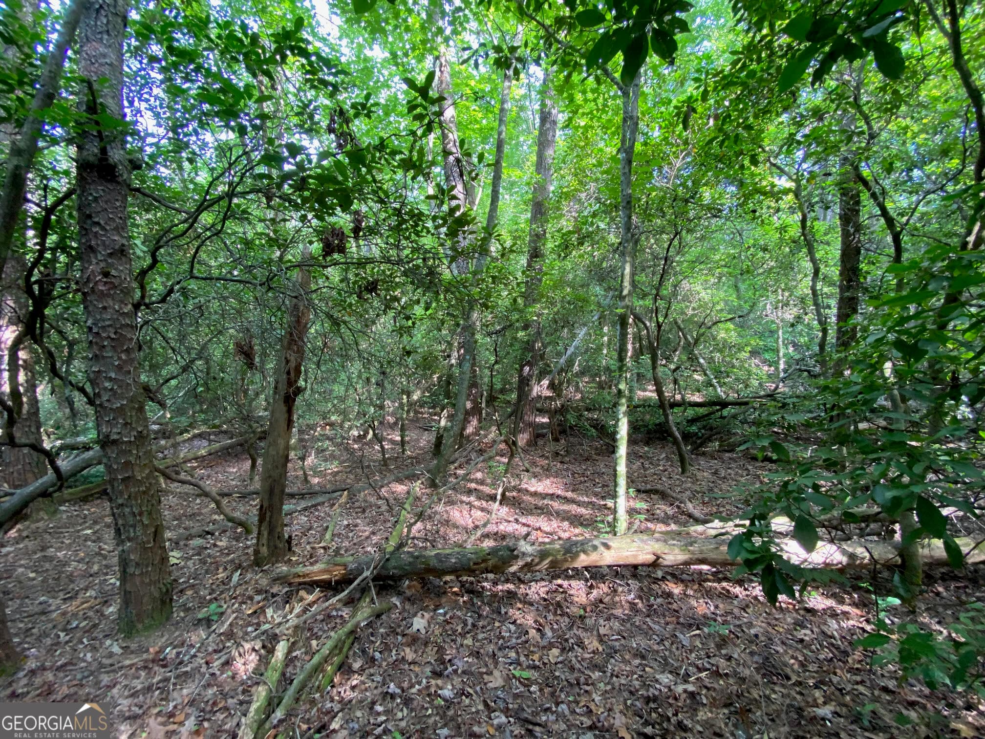 residential lot for sale at 0 Sara Lane LOT 6, Sautee Nacoochee, GA 30571 — photo 6