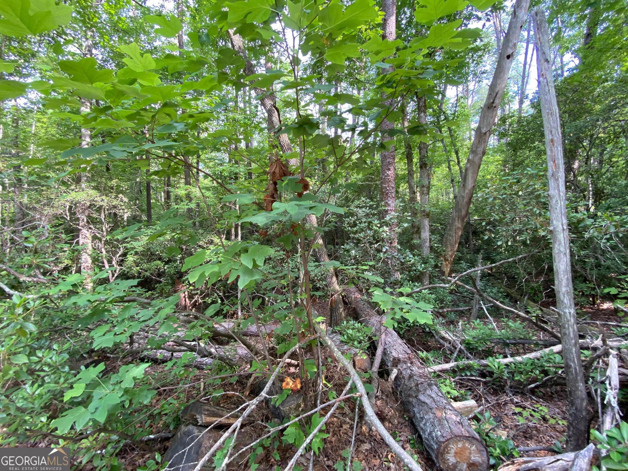 residential lot for sale at 0 Sara Lane LOT 6, Sautee Nacoochee, GA 30571 — photo 7