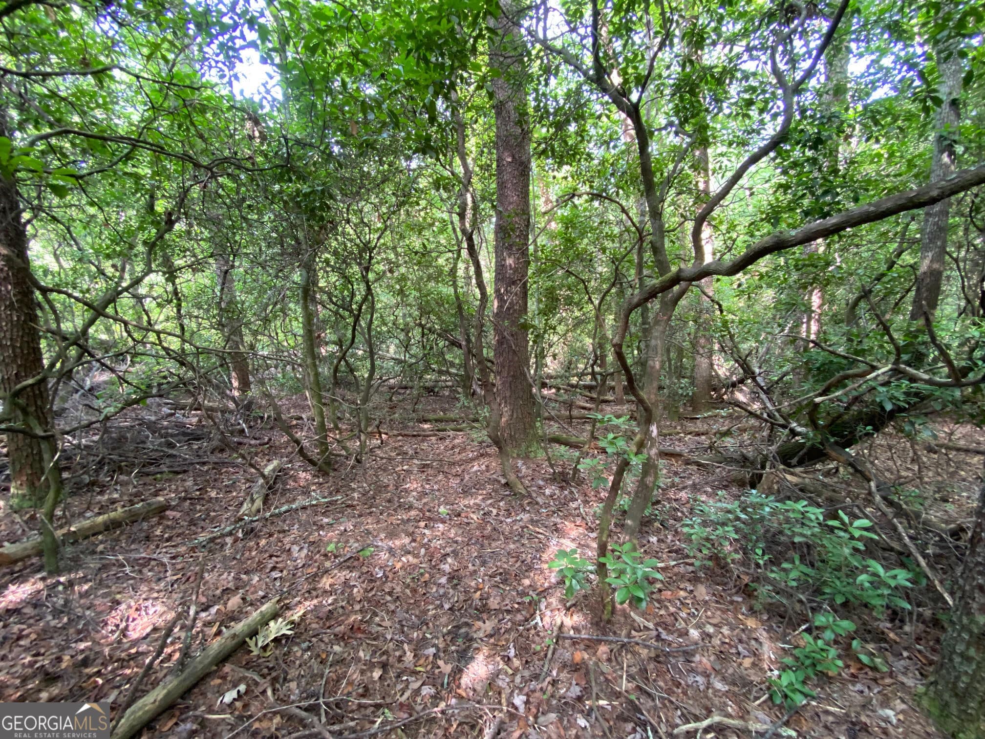 residential lot for sale at 0 Sara Lane LOT 6, Sautee Nacoochee, GA 30571 — photo 3