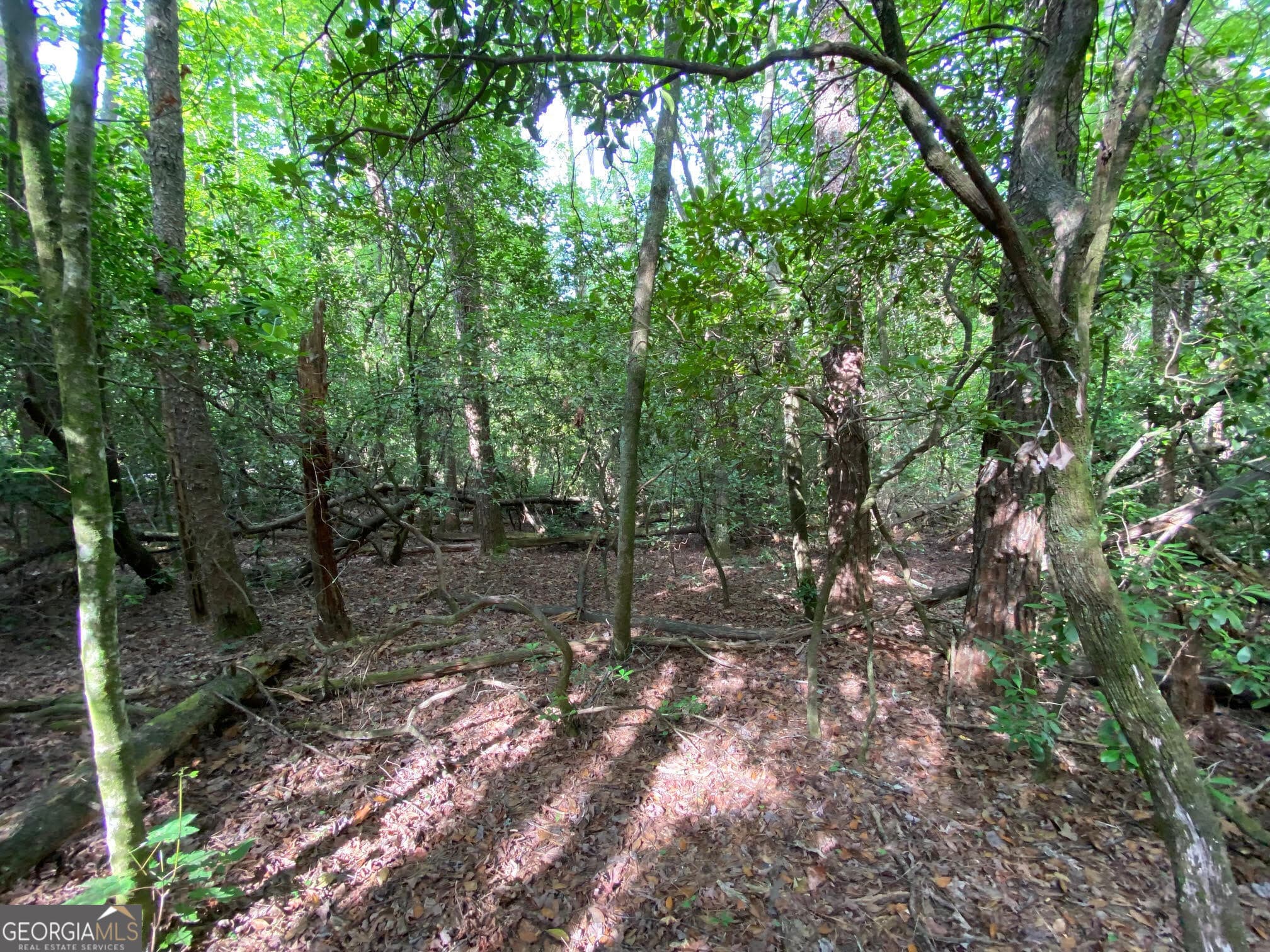residential lot for sale at 0 Sara Lane LOT 6, Sautee Nacoochee, GA 30571 — photo 5