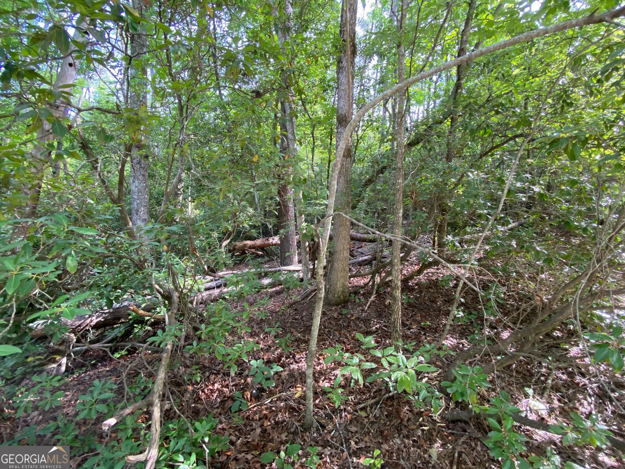 residential lot for sale at 0 Sara Lane LOT 6, Sautee Nacoochee, GA 30571 — photo 9