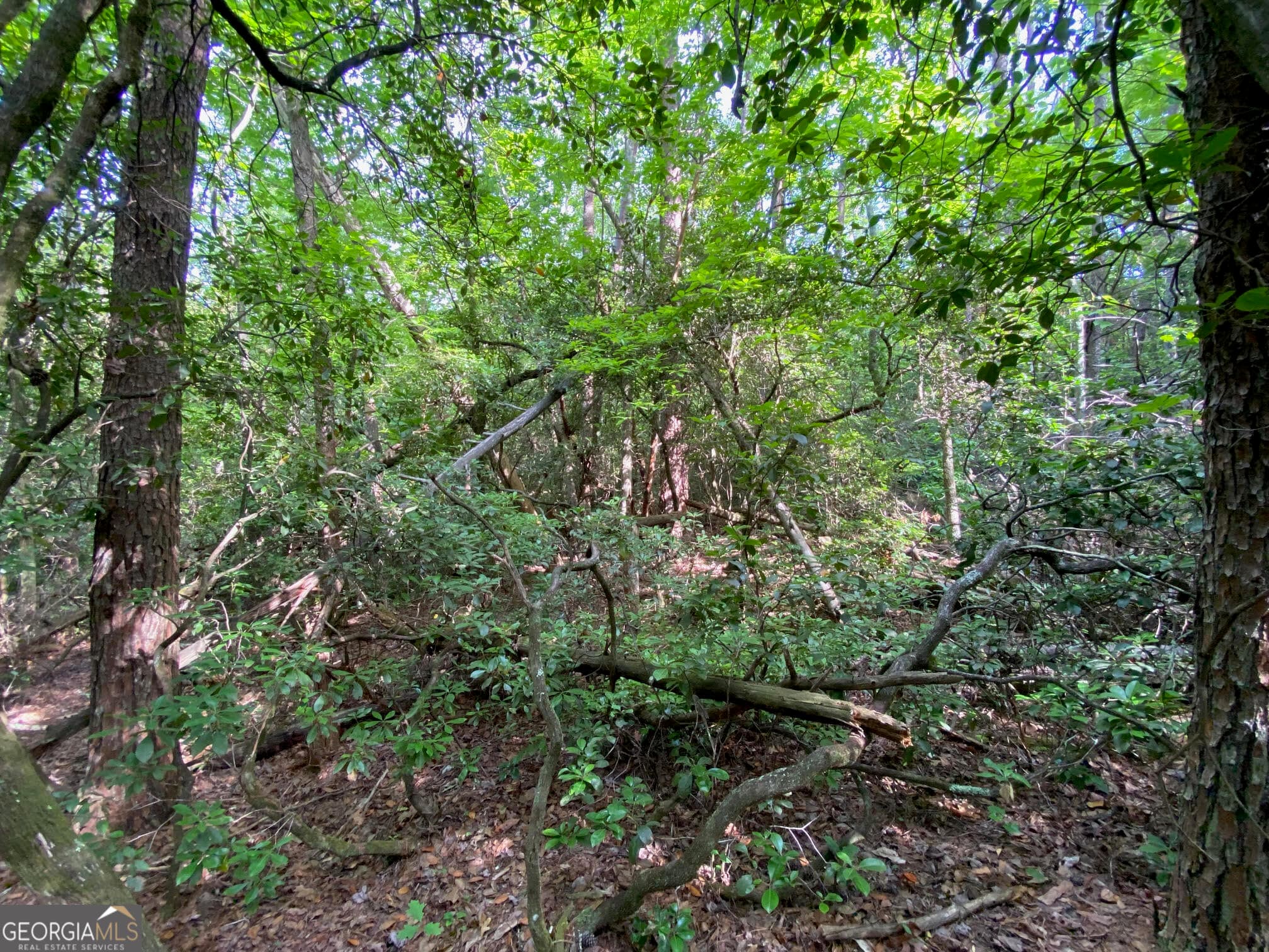 residential lot for sale at 0 Sara Lane LOT 6, Sautee Nacoochee, GA 30571 — photo 10