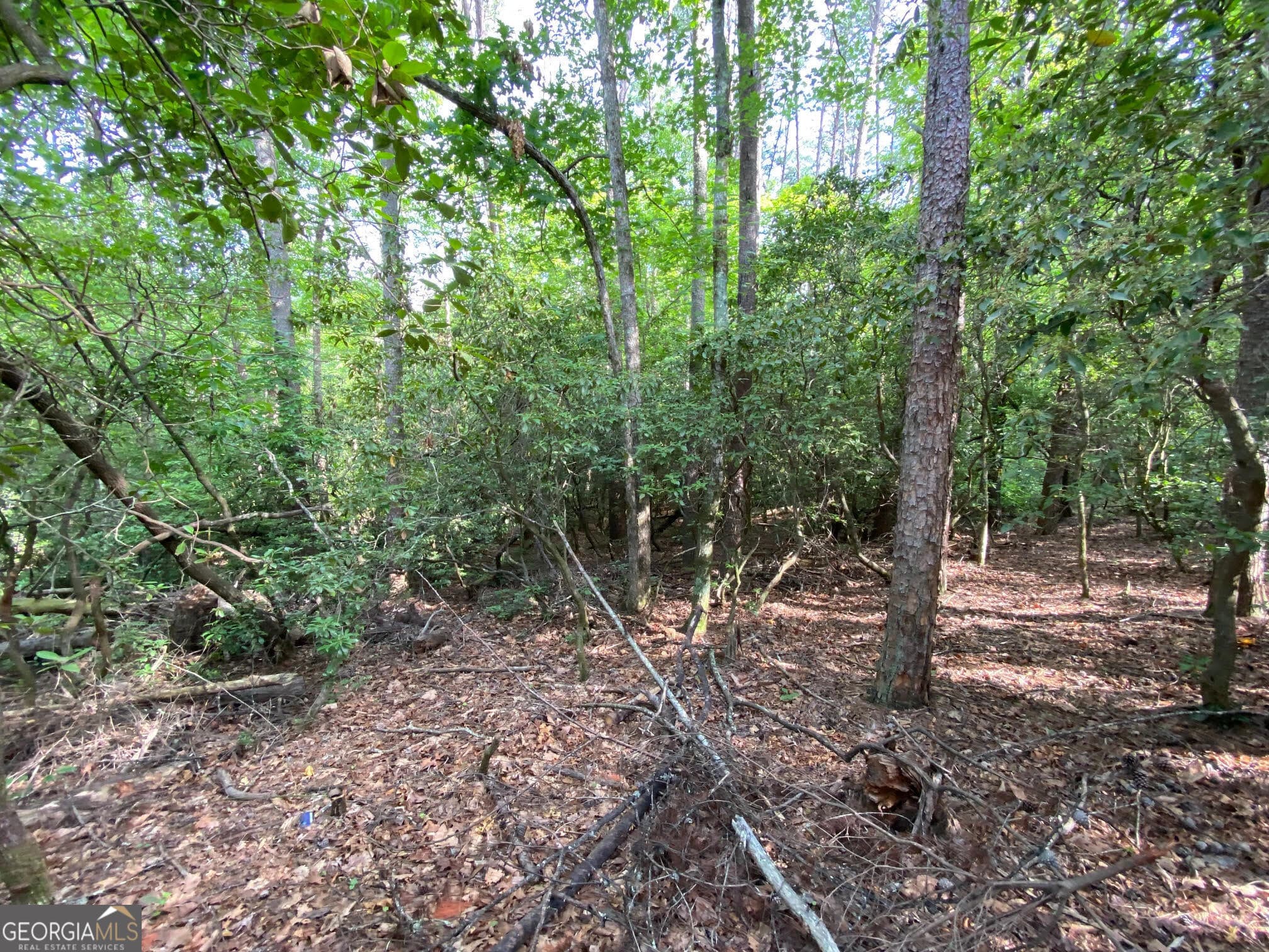 residential lot for sale at 0 Sara Lane LOT 6, Sautee Nacoochee, GA 30571 — photo 4