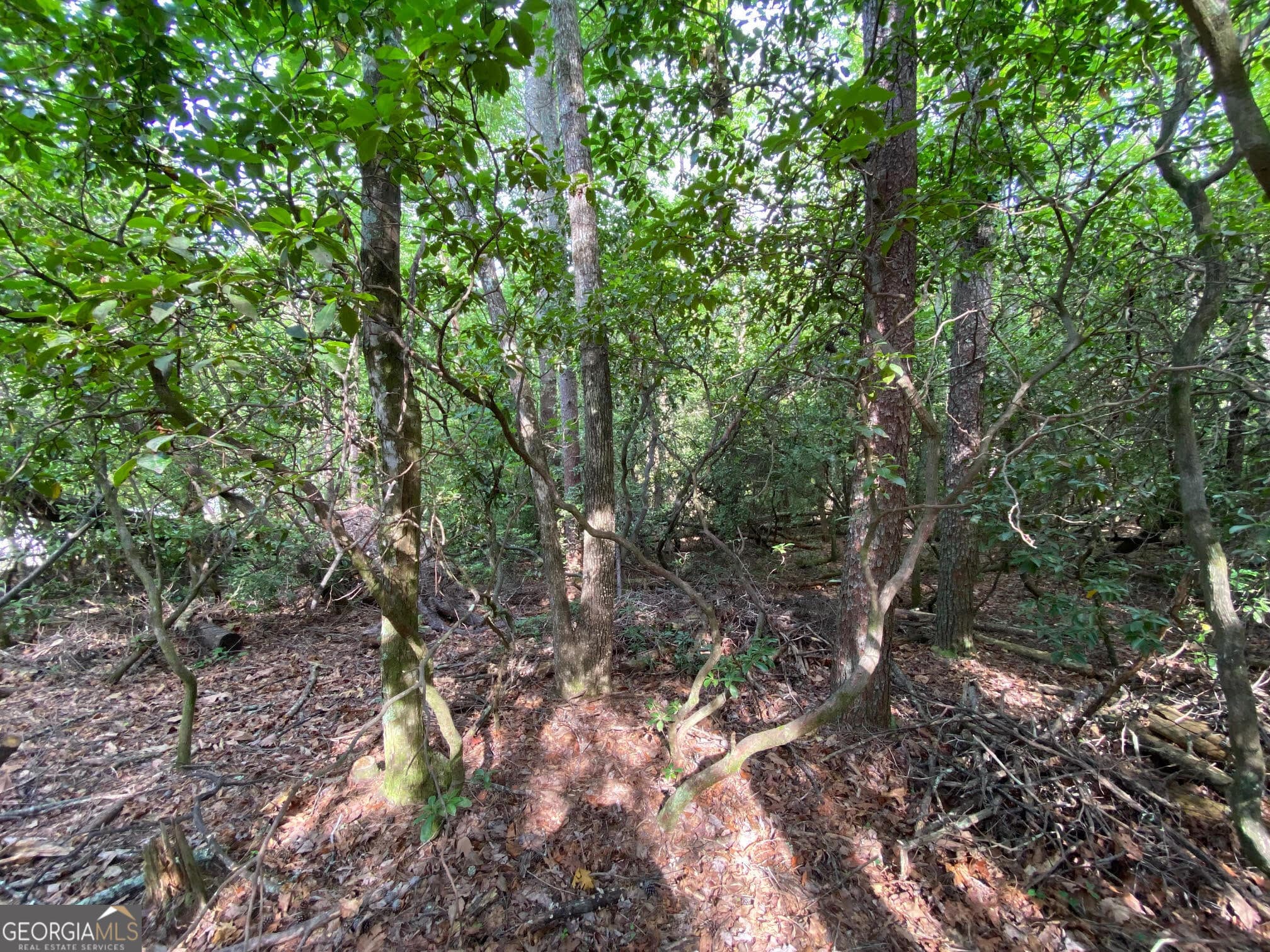 residential lot for sale at 0 Sara Lane LOT 6, Sautee Nacoochee, GA 30571 — photo 8