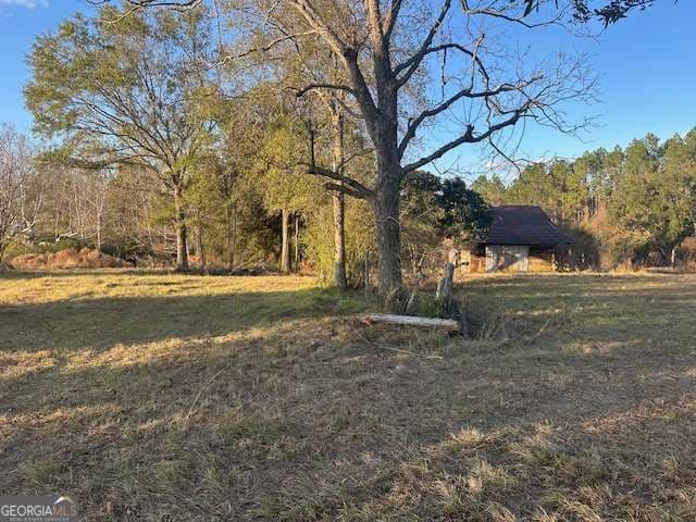 agriculture for sale at 8893 Sunbury Road, Claxton, GA 30417 — photo 2