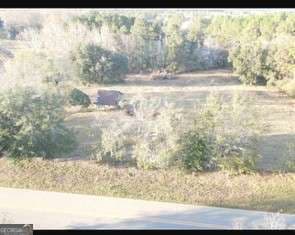 agriculture for sale at 8893 Sunbury Road, Claxton, GA 30417 — photo 6