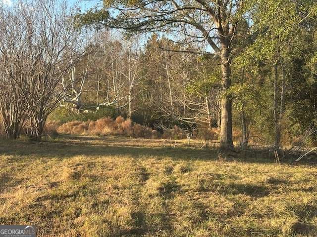 agriculture for sale at 8893 Sunbury Road, Claxton, GA 30417 — photo 3