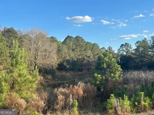 agriculture for sale at 8893 Sunbury Road, Claxton, GA 30417 — photo 5