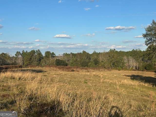 agriculture for sale at 8893 Sunbury Road, Claxton, GA 30417 — photo 4