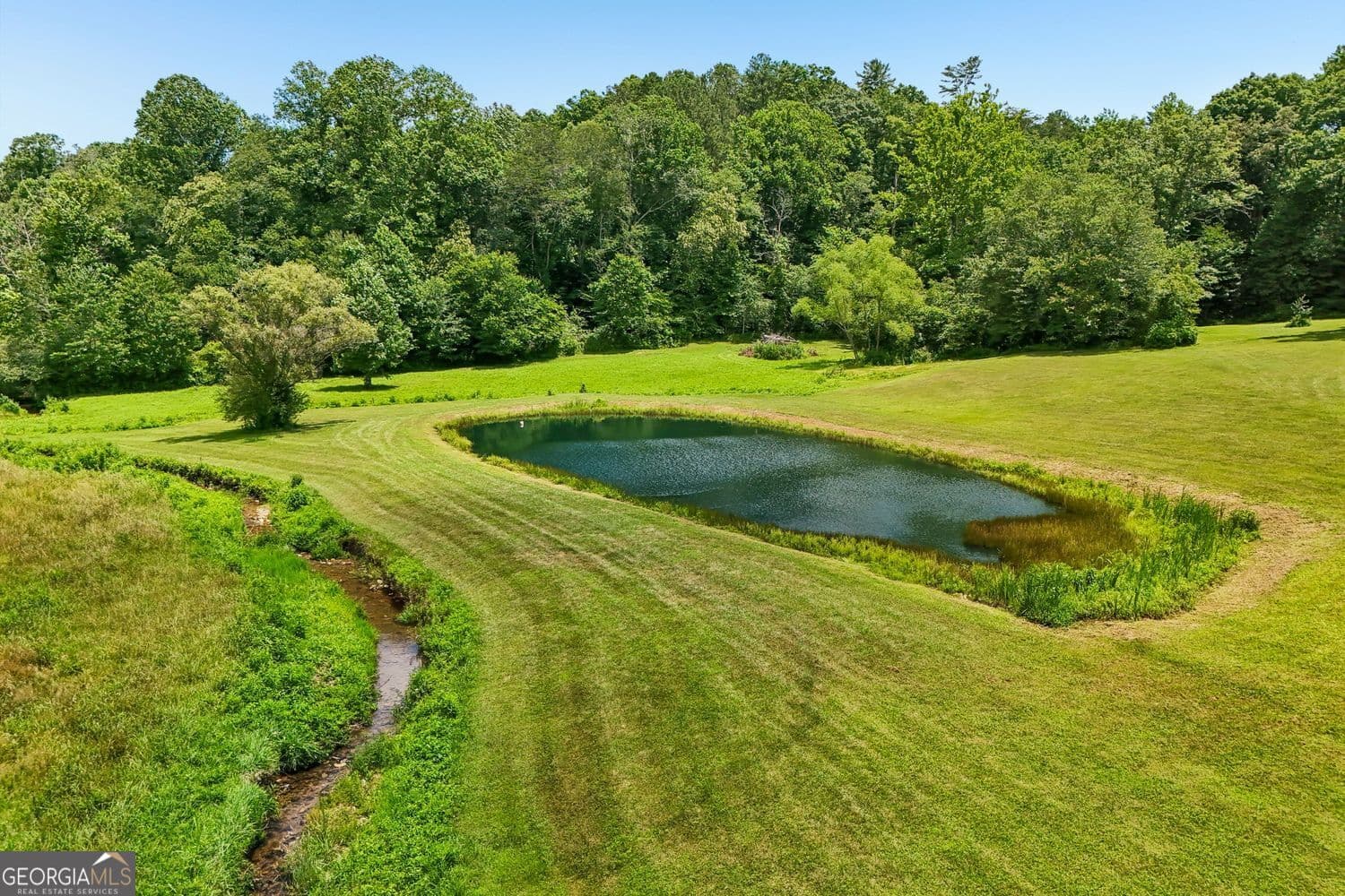5 bedroom, 3.5 bathroom, 4,836 sq ft single family residence for sale at 4218 Roy Road, Ellijay, GA 30536 — photo 5