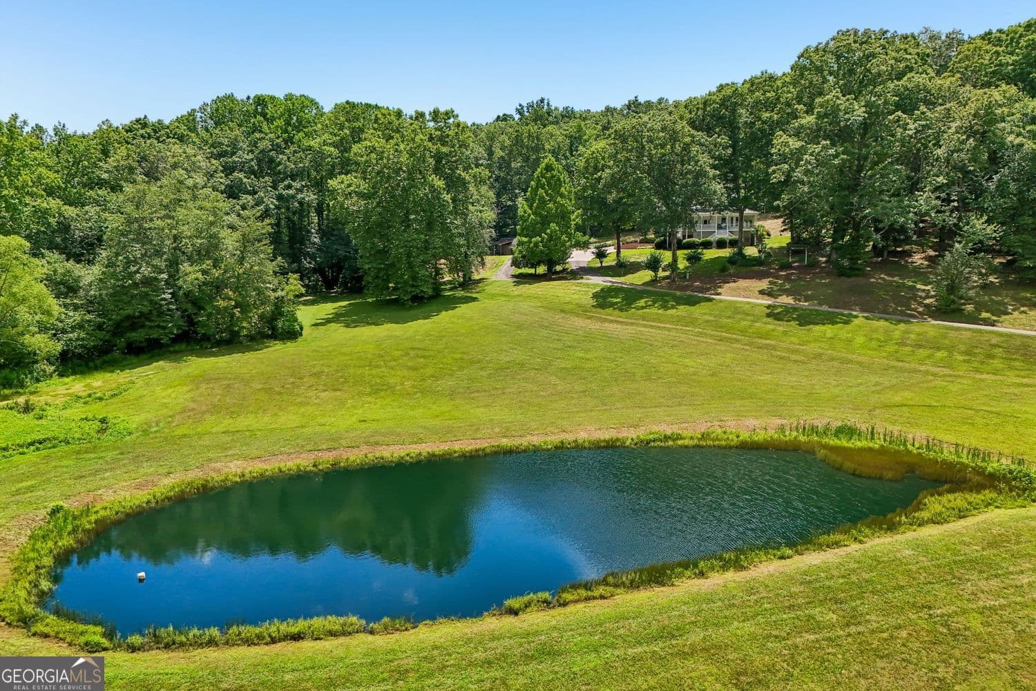 5 bedroom, 3.5 bathroom, 4,836 sq ft single family residence for sale at 4218 Roy Road, Ellijay, GA 30536 — photo 4
