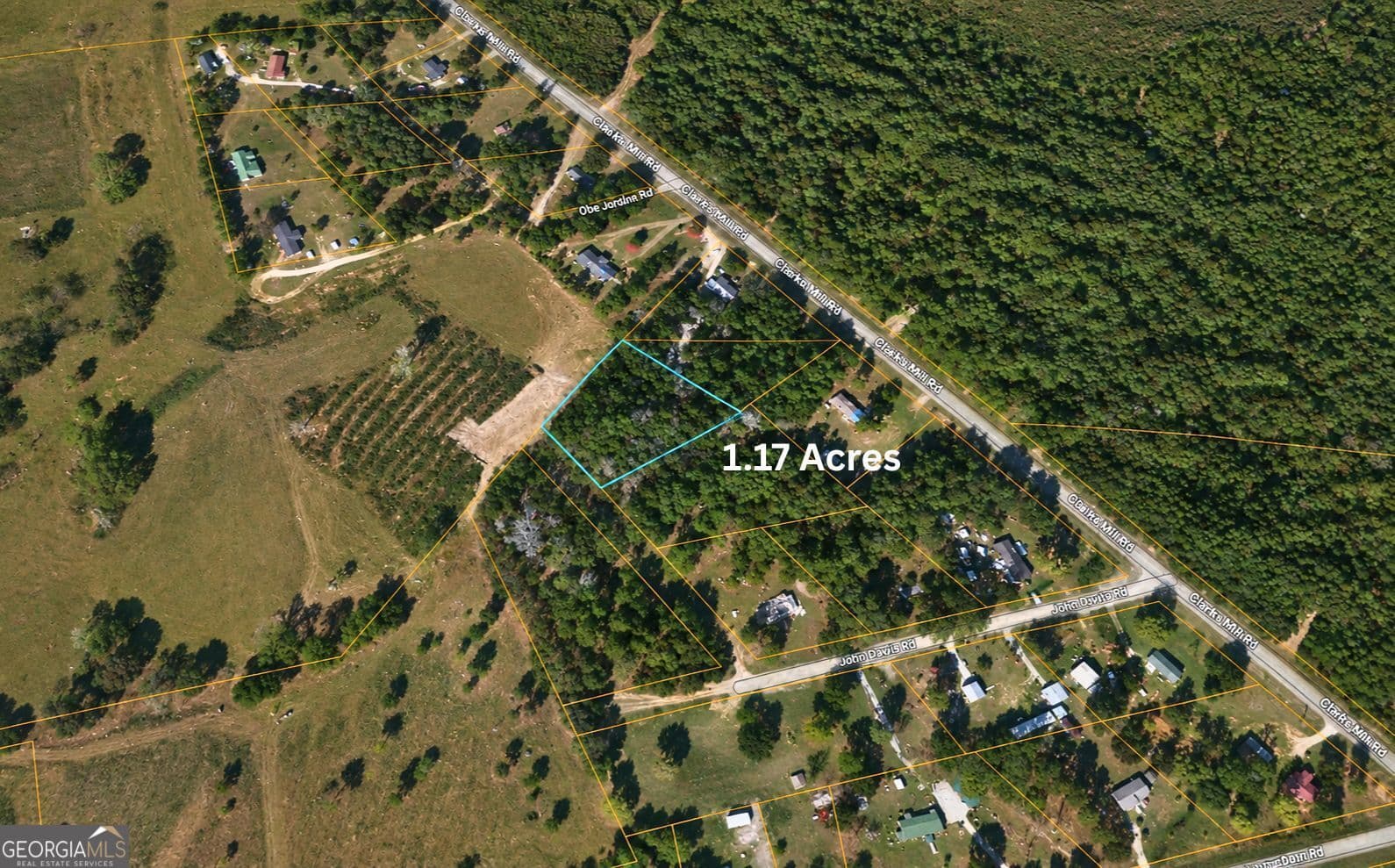 unimproved land for sale at 1002 Hodges Road, Louisville, GA 30434 — photo 4