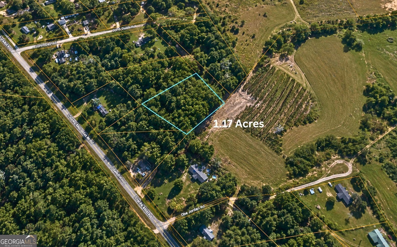 unimproved land for sale at 1002 Hodges Road, Louisville, GA 30434 — photo 8