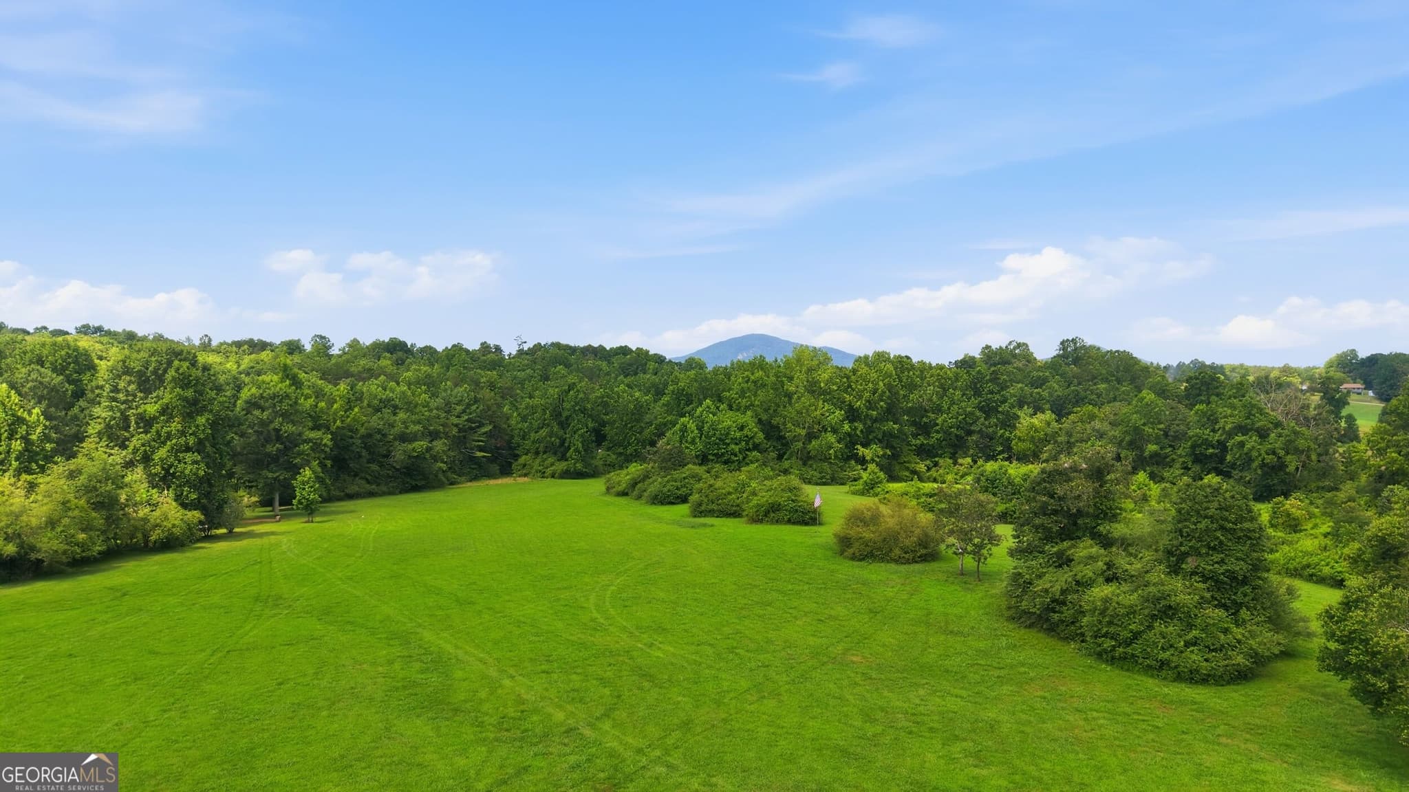 unimproved land for sale at 0 Amys Creek Road 12 AC, Clarkesville, GA 30523 — photo 3